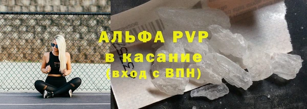 apvp Алзамай